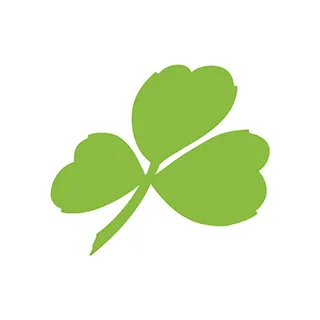 Aer Lingus Rabattcode 